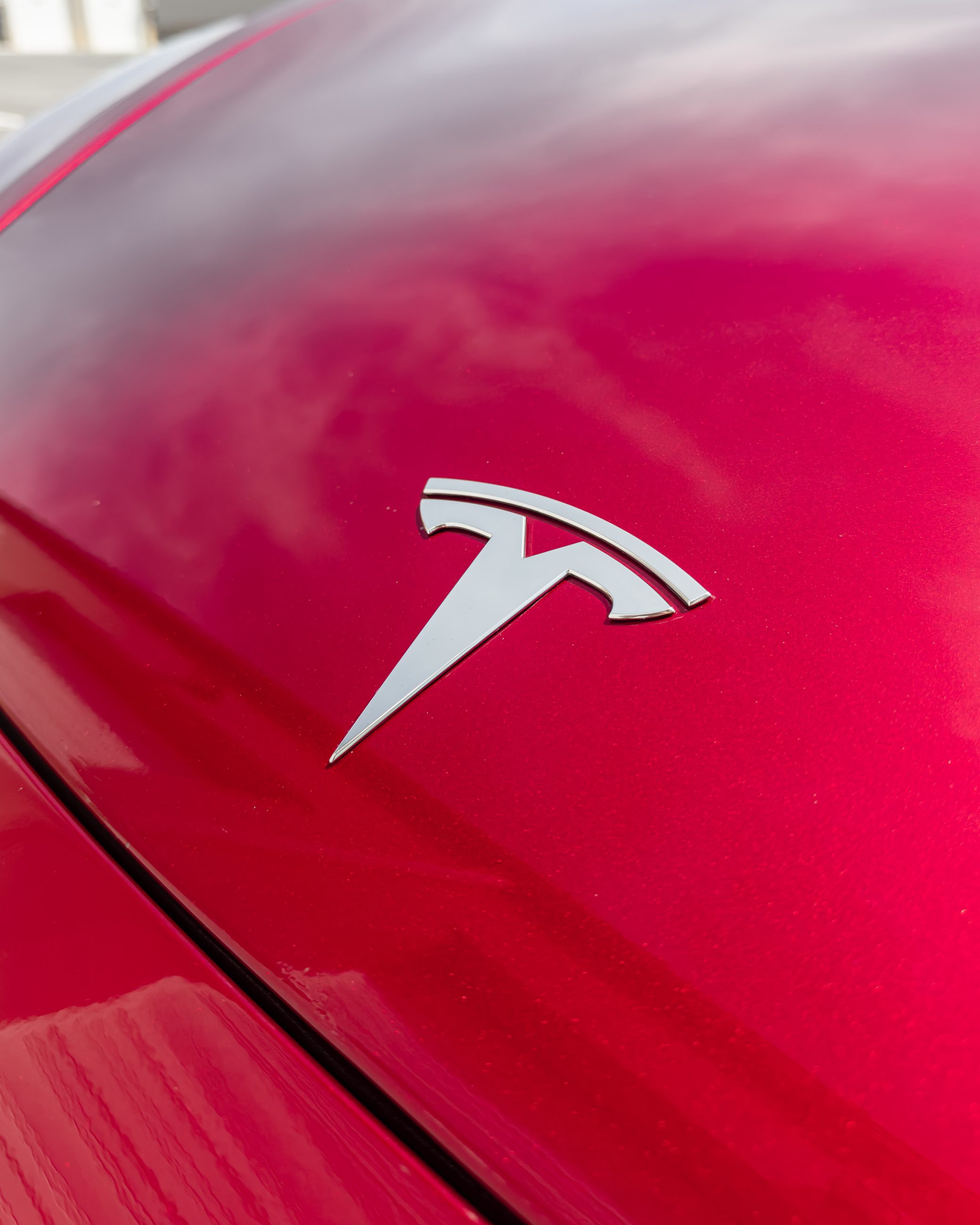 2025 TESLA Model 3 Performance photo