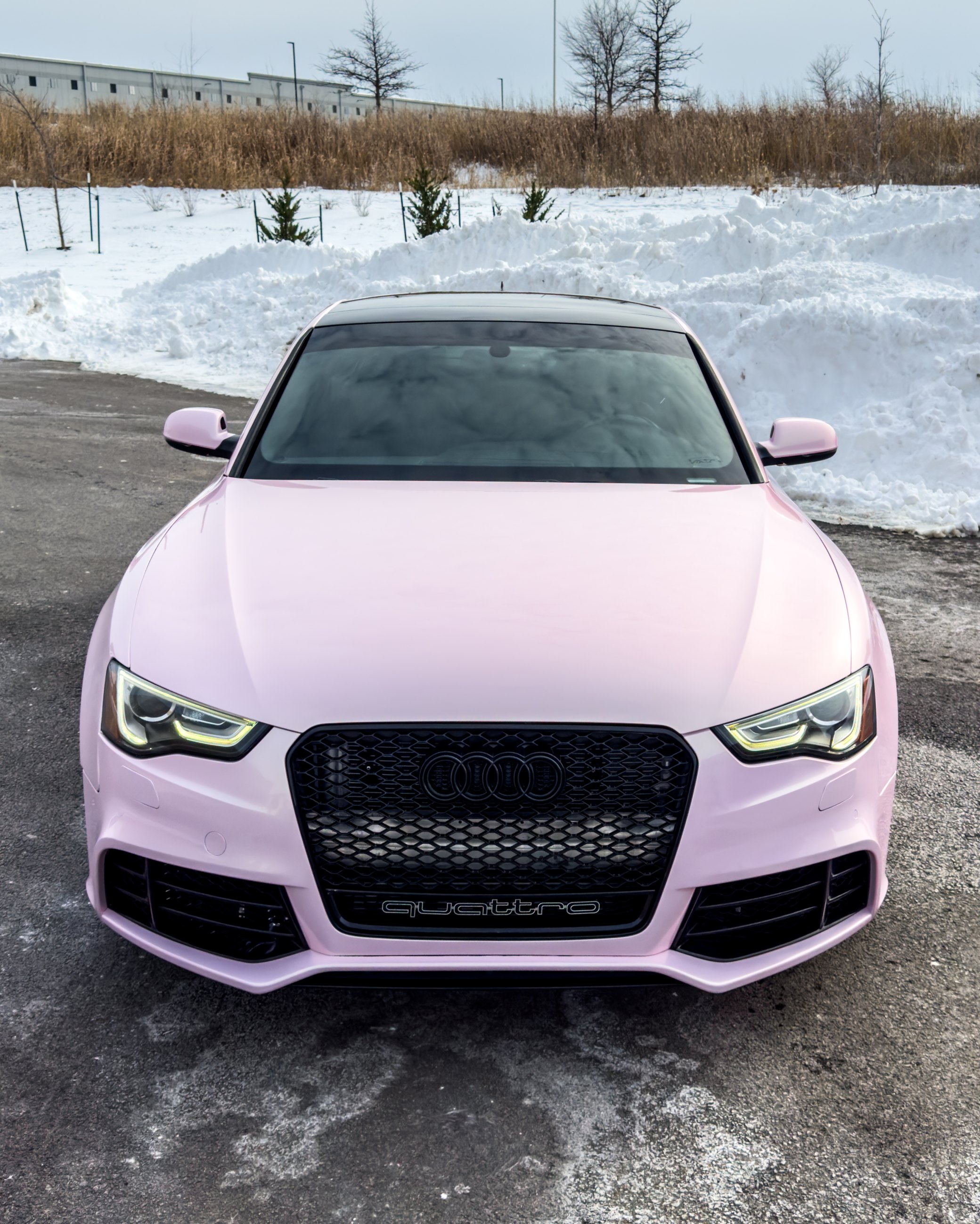 2015 AUDI A5 2.0T quattro Premium Plus / S line photo